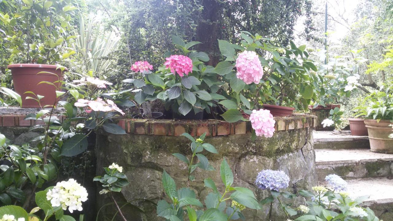 Il Giardino Delle Ortensie Apartment Salto Chiesa Exterior photo